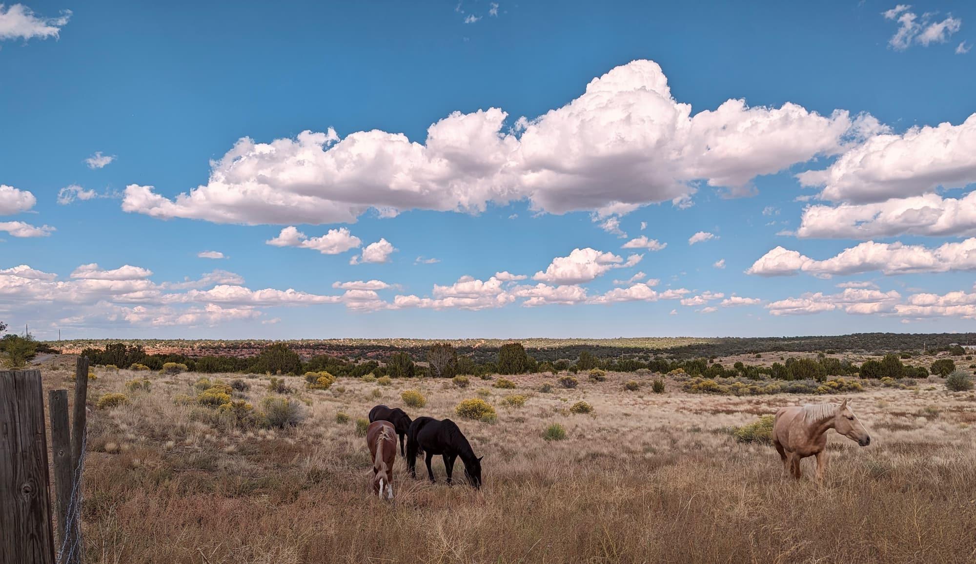 Four horses grazing gold pasture beneath towering cumulus cloud, red mesa on the far horizon