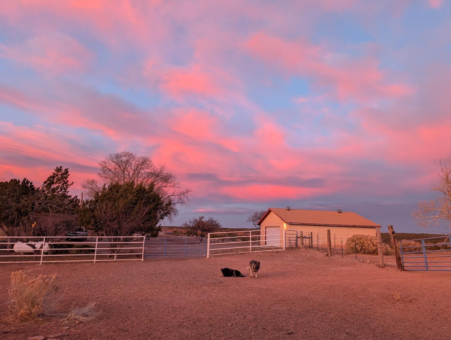 Pink sunset clouds above white pipe-rail fencing and a tan outbuilding, two dogs lying in the dirt yard