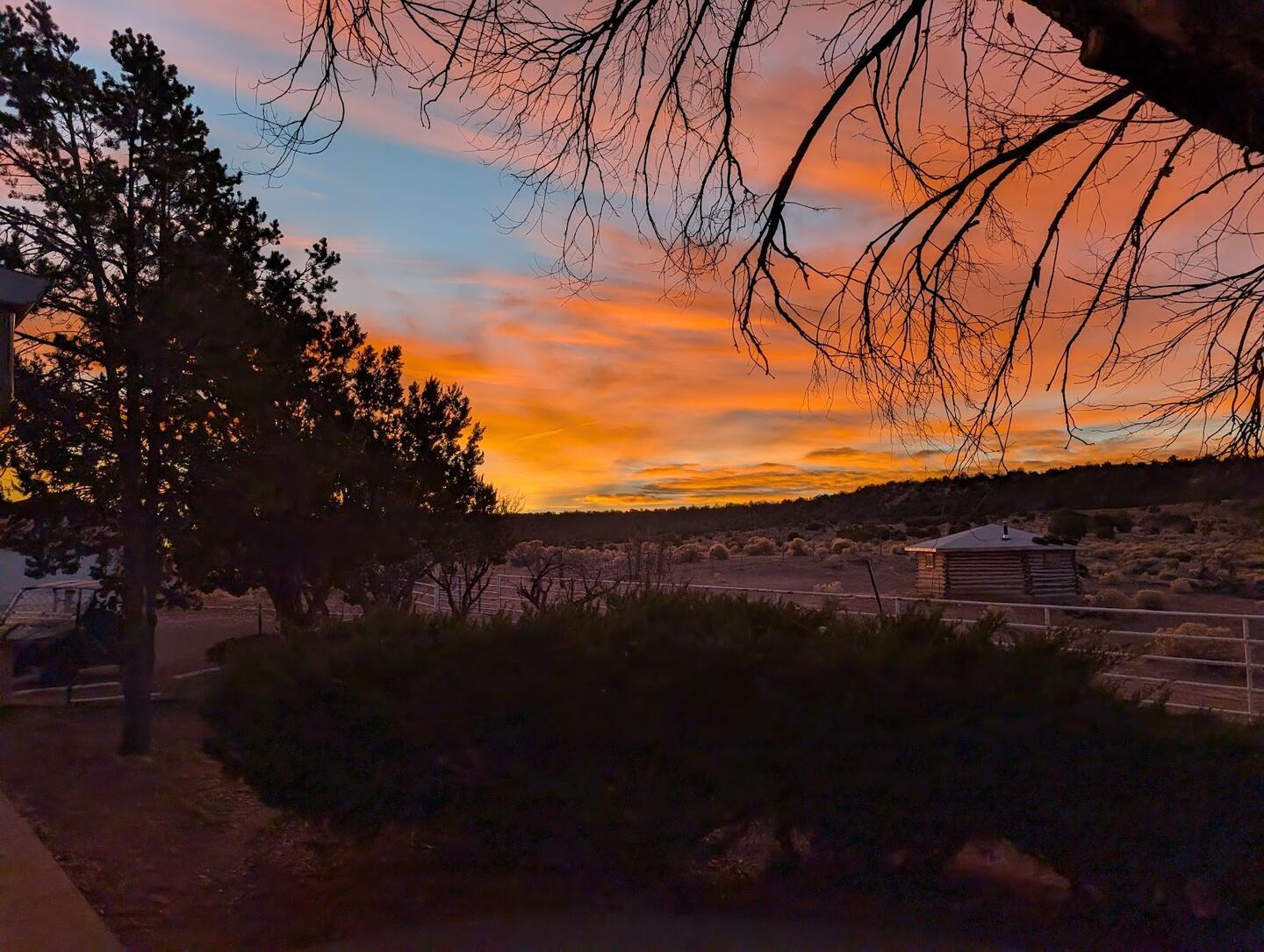 An orange sunset seen through bare branches and dark juniper above the corrals
