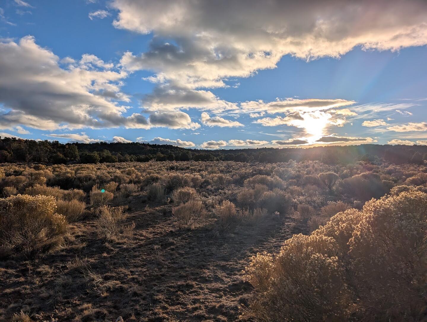 Low sun breaking through heavy cumulus over sagebrush flats
