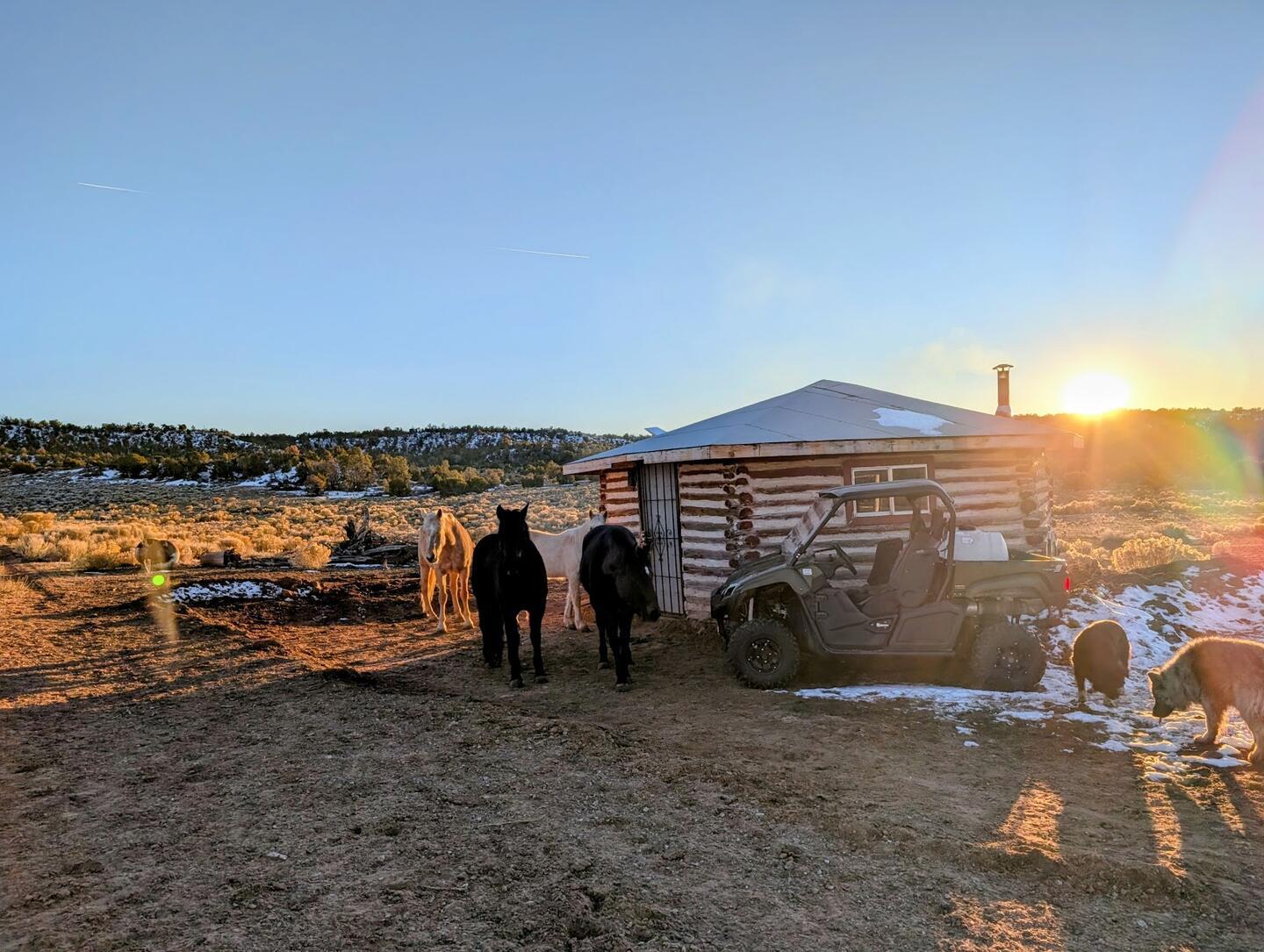 Horses and dogs gathered beside the log cabin and a utility vehicle at sunset, patches of snow on the ground