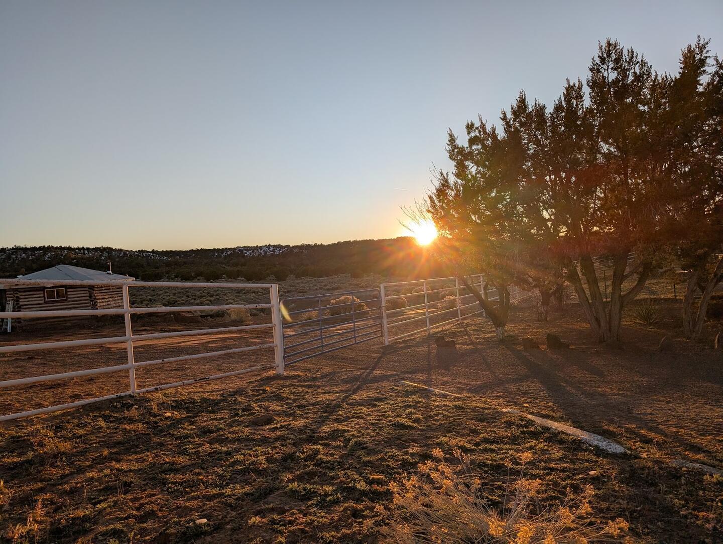 The sun setting behind a juniper beyond the pipe-rail corrals