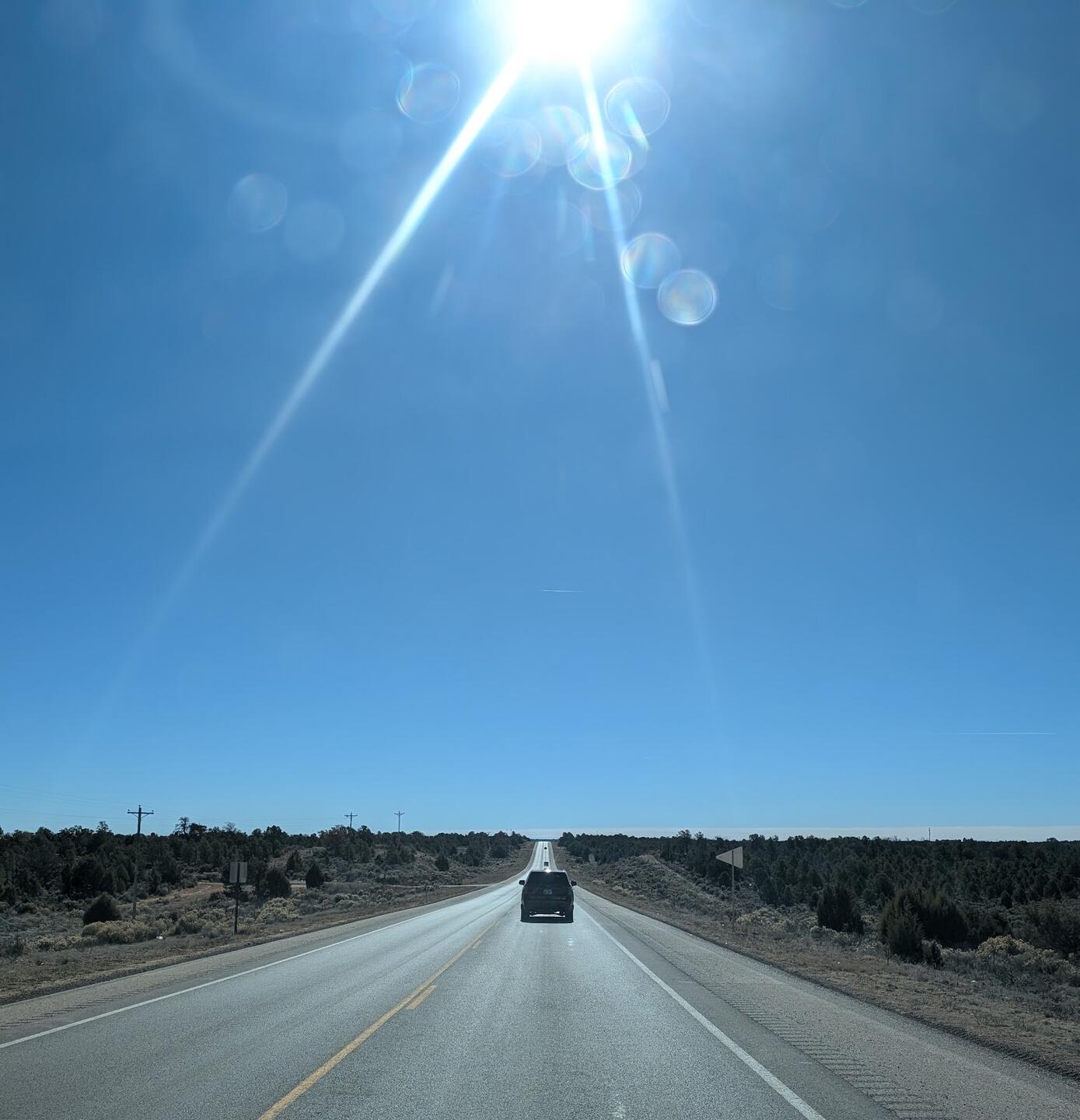 A straight two-lane highway running through juniper under a bright winter sun