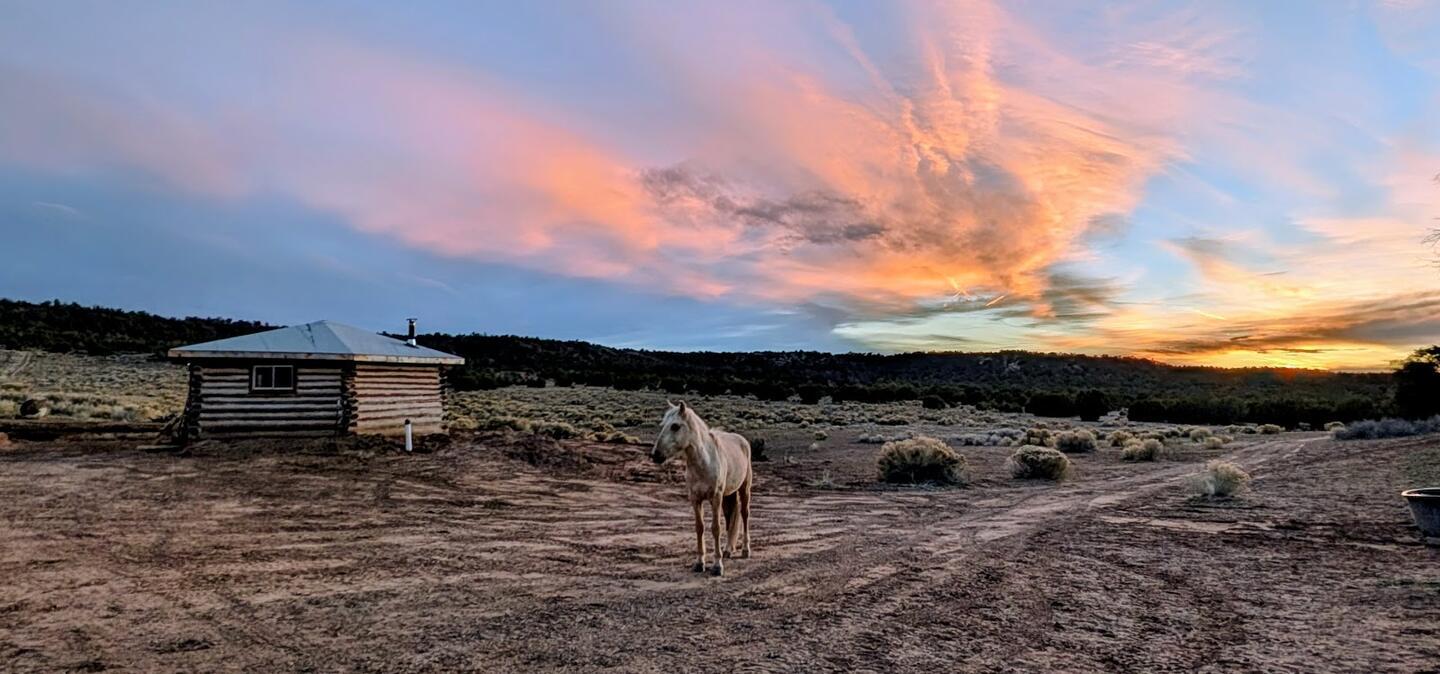A lone pale horse in the pasture, the log cabin small in the distance under a vivid pink sunset