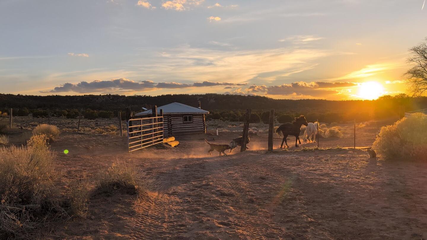 Horses kicking up dust in the corrals at sunset, the log cabin behind