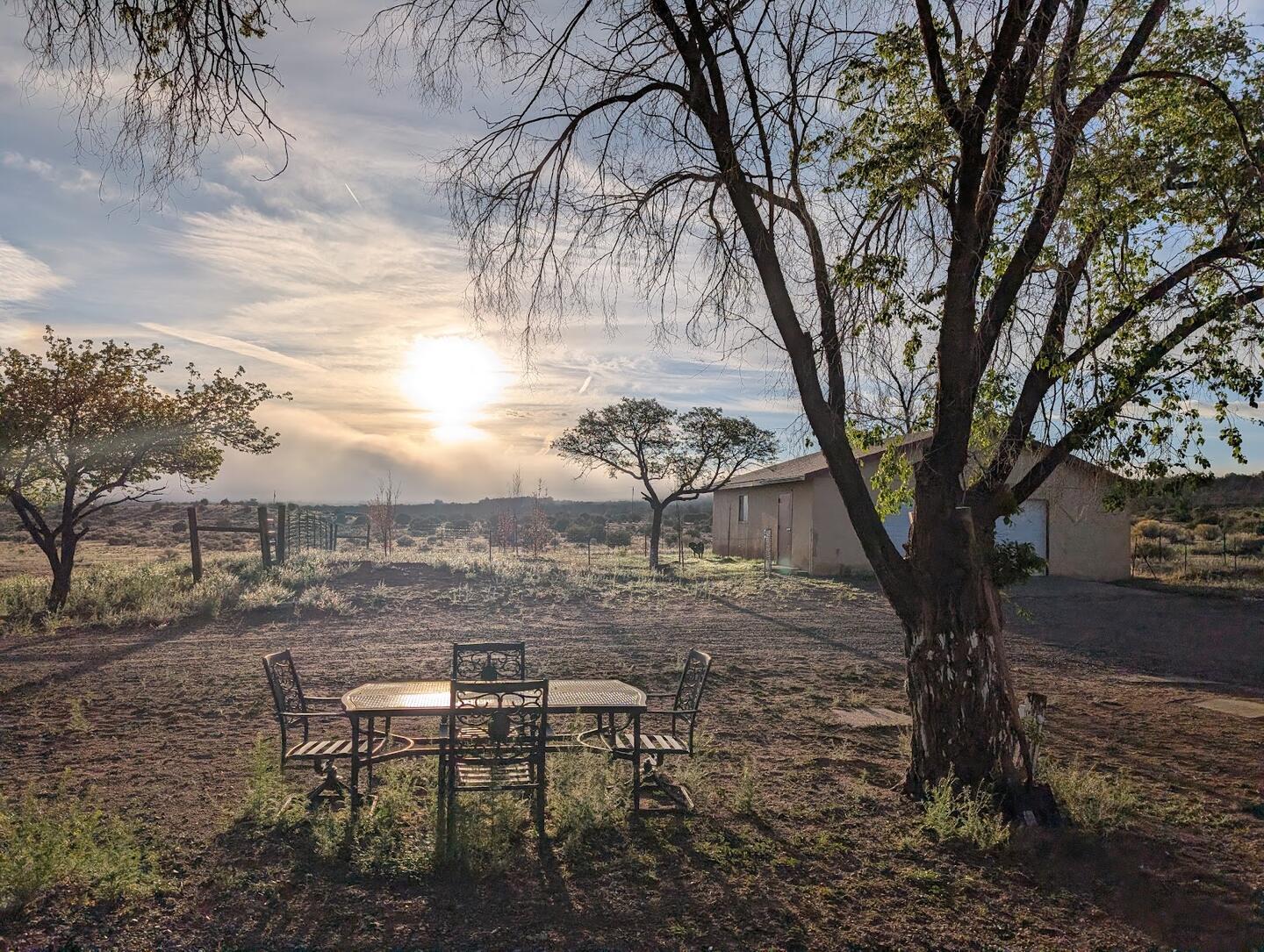 The patio table and chairs beneath a cottonwood with the sun low behind the trees