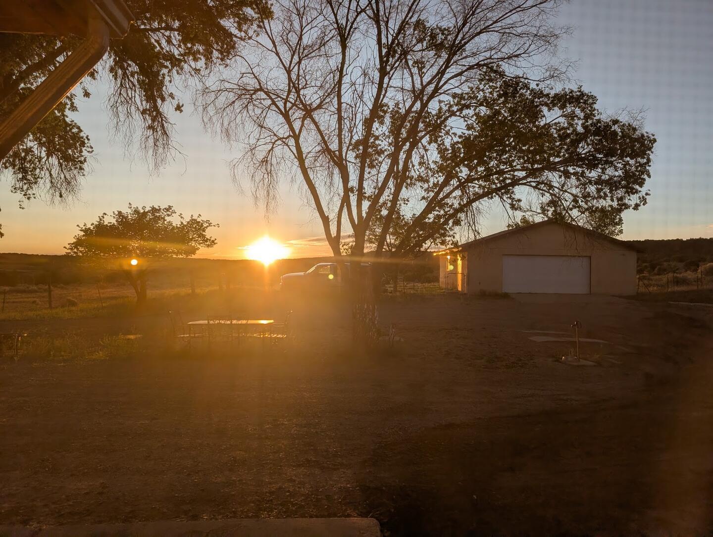 The sun setting under a cottonwood beyond the garage, seen through a window screen