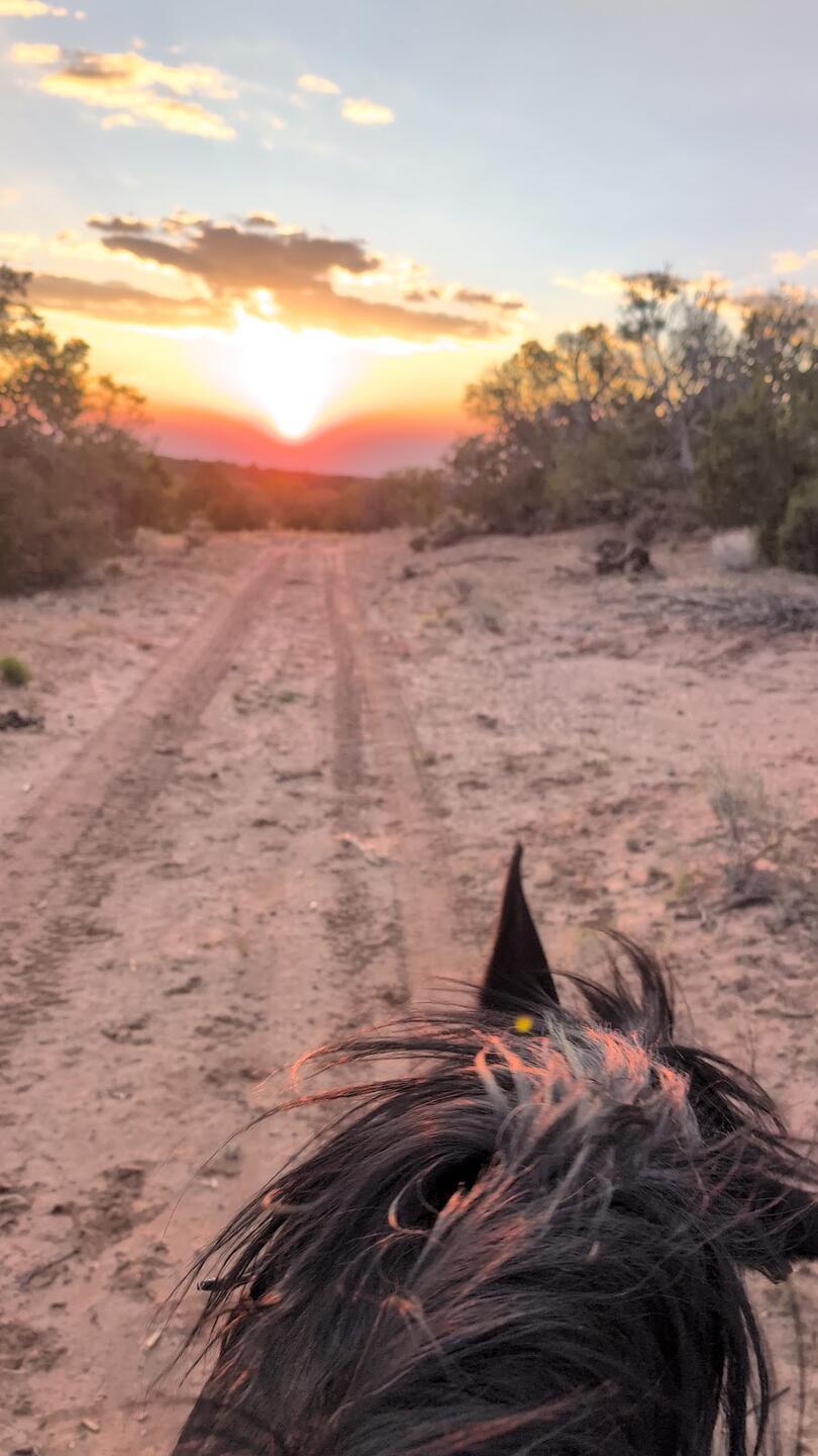 Riding a black horse down a sandy two-track toward the sunset