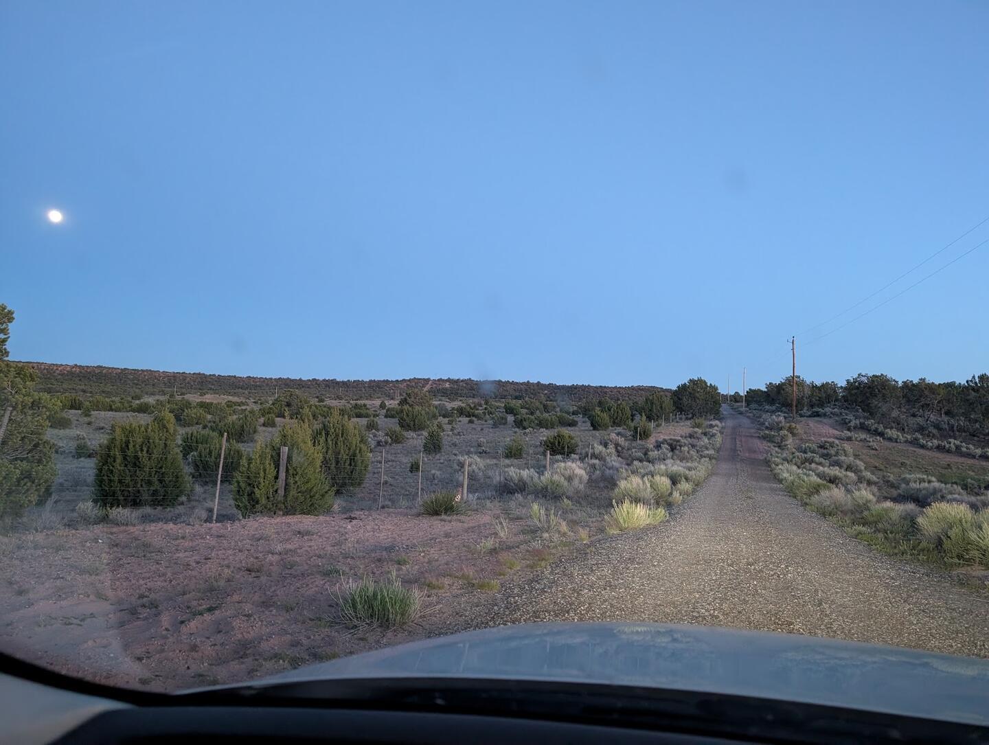 A dirt road through juniper at dusk seen through a windshield, the moon already up