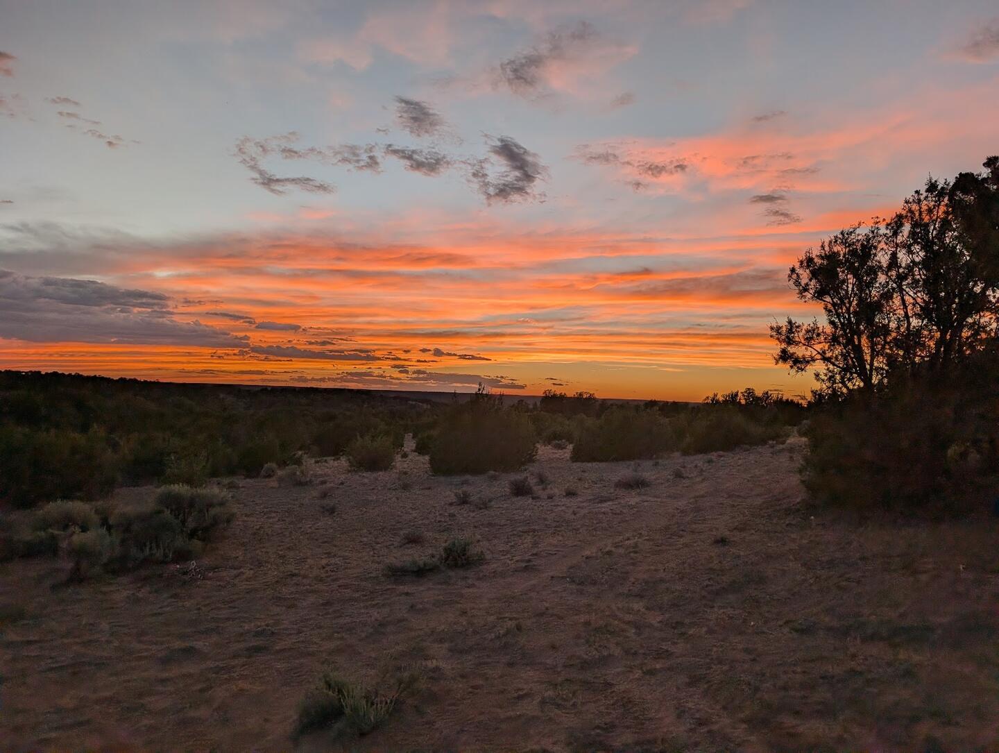 Orange sunset clouds over the sagebrush and juniper