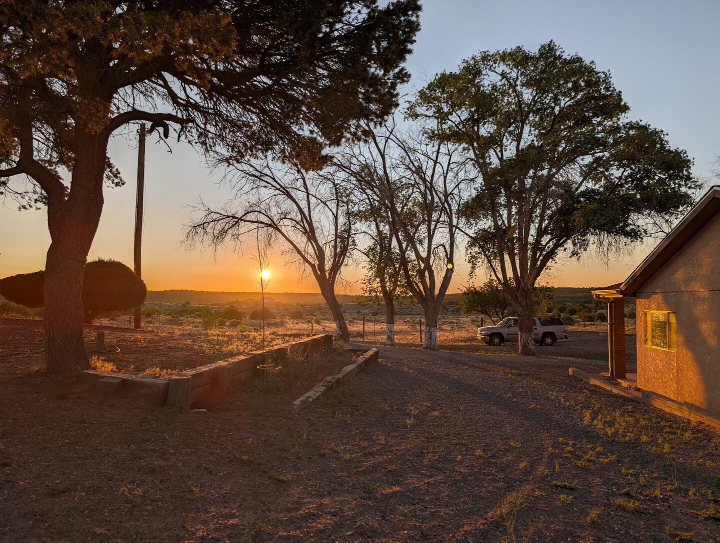 Sunset through the trees, the house at right and a pickup in the yard