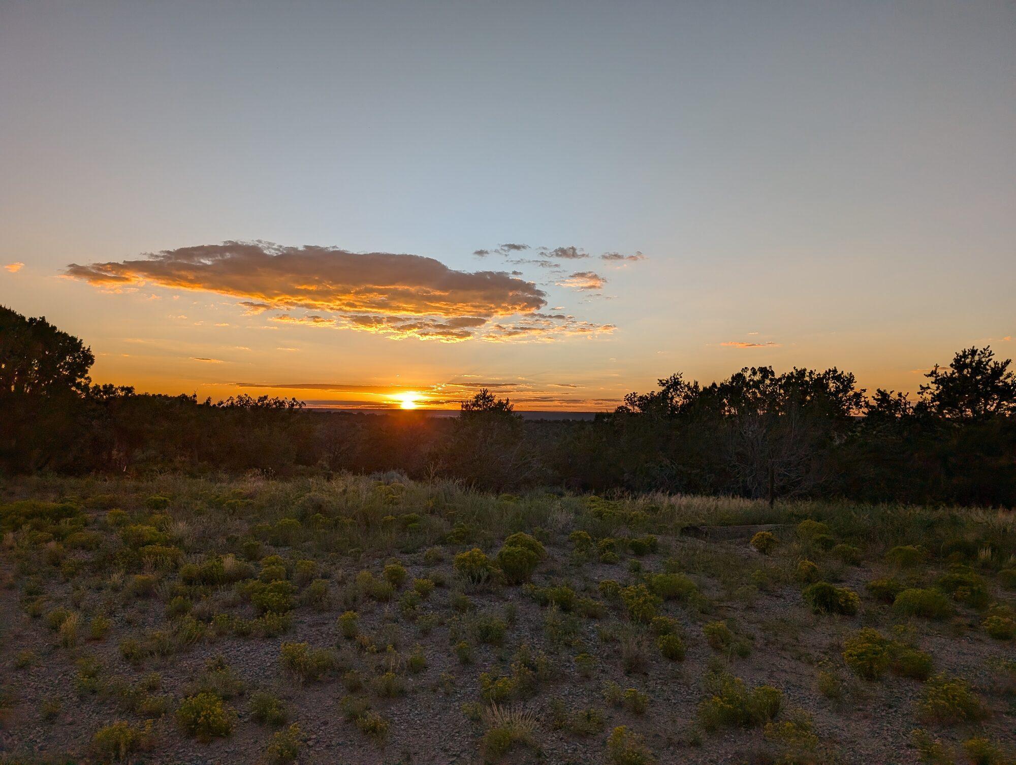 The sun setting into a band of orange cloud behind a line of juniper, with rabbitbrush and grass in the foreground pasture