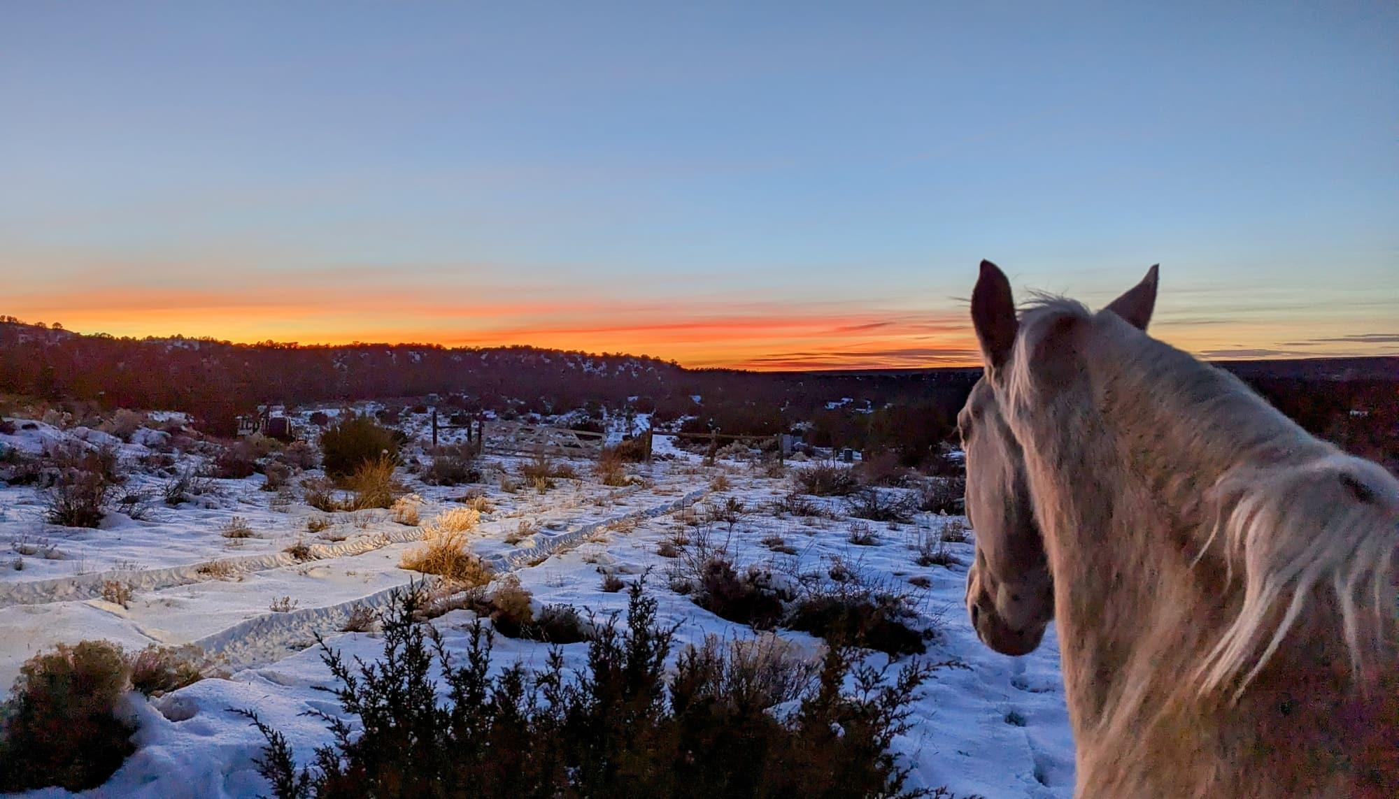 A pale horse in the foreground watching an orange sunset burn along the ridgeline over snow-covered high desert